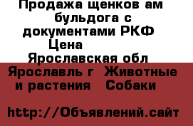 Продажа щенков ам. бульдога с документами РКФ › Цена ­ 45 000 - Ярославская обл., Ярославль г. Животные и растения » Собаки   